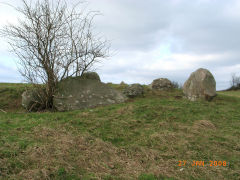 
Cleppa Park long barrow, August 2008